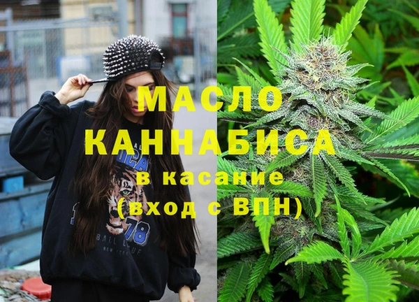 амф Алексин