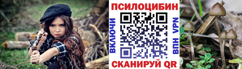 нарко площадка официальный сайт  хочу наркоту  Кизел  Галлюциногенные грибы Psilocybe 